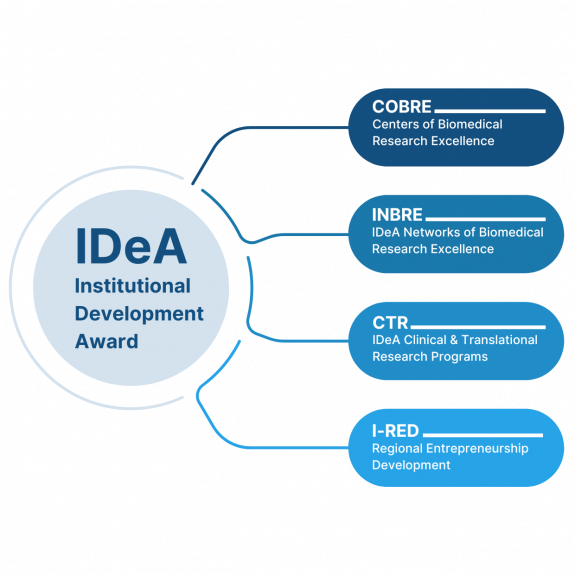 IDeA Programs IDeA Programs